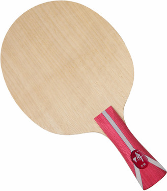 Fang Bo B2X